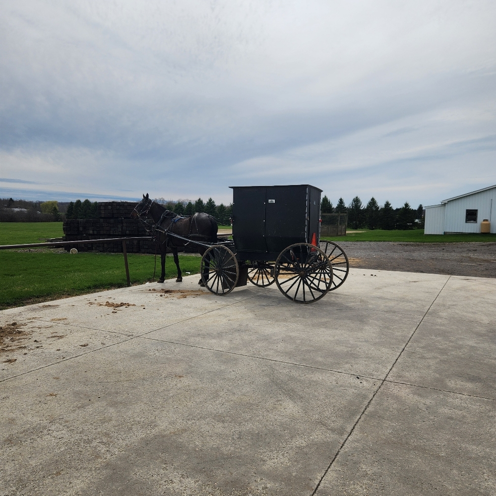 Meet your Posher, Brandy